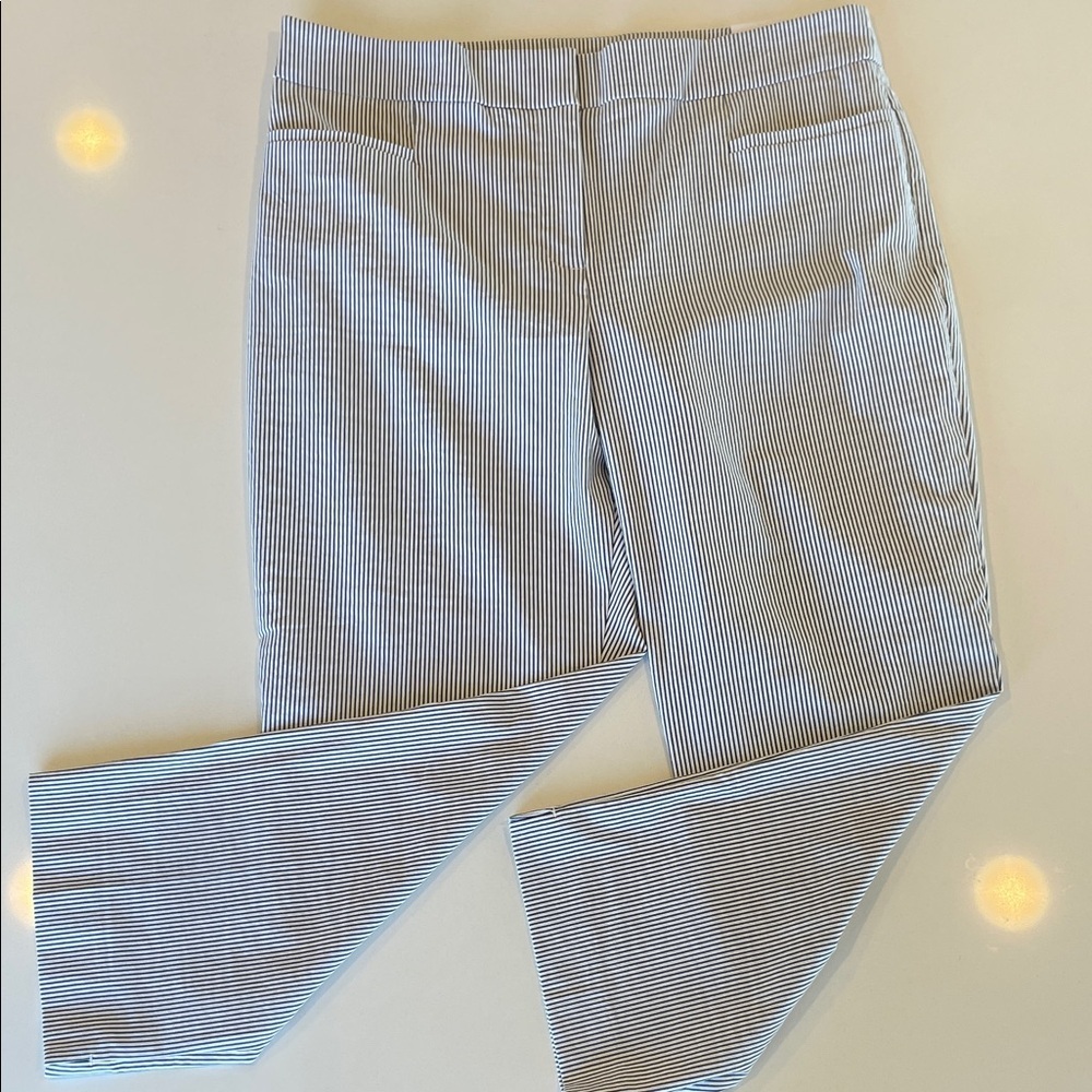 NWT Ann Taylor Blue and White Striped Cropped Pants | 14